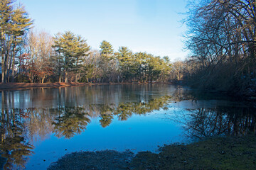 Fototapeta na wymiar Small pond in Shark River Park, NJ, partially covered with ice, with reflections of nearby trees and branches -10