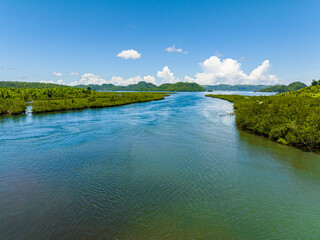 Mangroves in Surigao del Norte. Mindanao, Philippines.