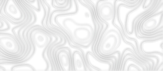 Abstract topographic contours 3d map background .topographic line texture background .monochrome image .stylized height of the topographic map contour in lines.	