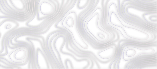 Abstract topographic contours 3d map background .topographic line texture background .monochrome image .stylized height of the topographic map contour in lines.	