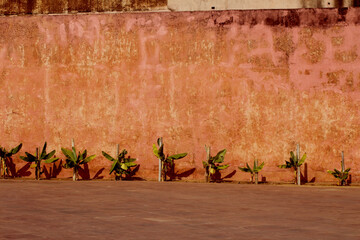 wooden wall with flowers