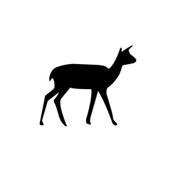 Antelope Silhouette