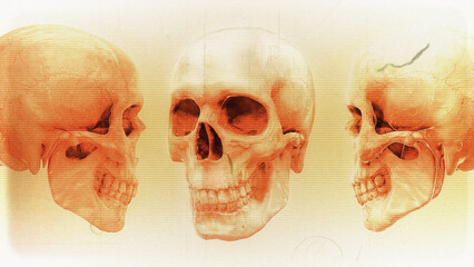 Grunge Skulls Illustration 04