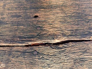 wood texture