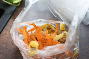 Vegetable peelings in a bag eco friendly