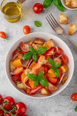 Traditional italian tomato salad panzanella with red onion, fresh basil and croutons in a bowl. Summer salad.