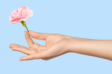 Woman's hand holding a pink flower on a blue background