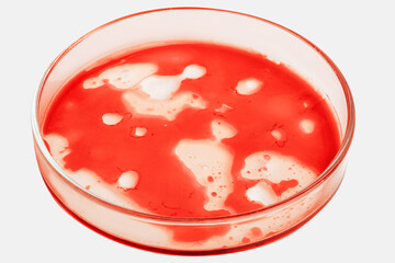 Red liquid, blood, hemoglobin or blood tests in a Petri dish on a light background.
