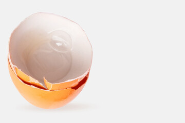 Eggshells on a light background