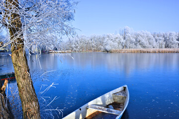 Baum mit Raureif am Beetzsee bei Brandenburg/Havel