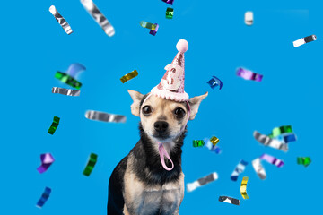 Dog in a birthday cap on a blue background, celebrating with confetti, pet party, festive atmosphere