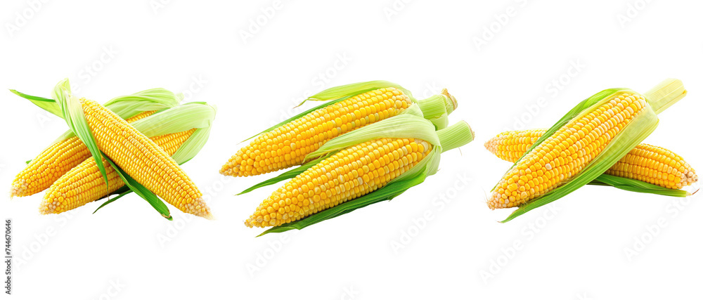 Wall mural Fresh corn on transparent background