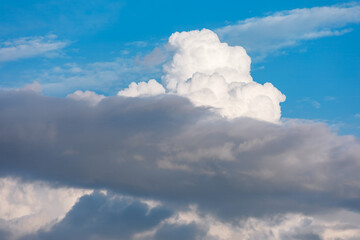 Cloudscape has been developing in gorgeous form. The sky is filled with soft white clouds