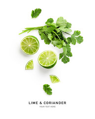 Fresh green coriander and lime fruit isolated on white background.