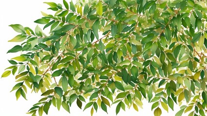 Selective focus of green leaves with dark toned, Ailanthus altissima commonly known as tree of heaven. Watercolor illustration, AI Generated