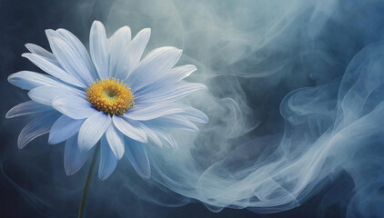 Stokrotka, niebieski makro kwiat ,abstrakcja - obrazy, fototapety, plakaty