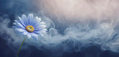 Stokrotka, niebieski kwiat abstrakcja - obrazy, fototapety, plakaty