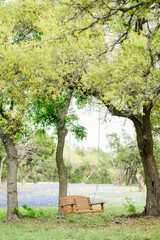 bench in the park