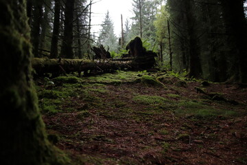 Three lochs drive, Aberfoyle, scottish highlands