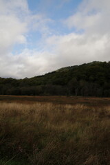 Fototapeta premium Three lochs drive, Aberfoyle, scottish highlands