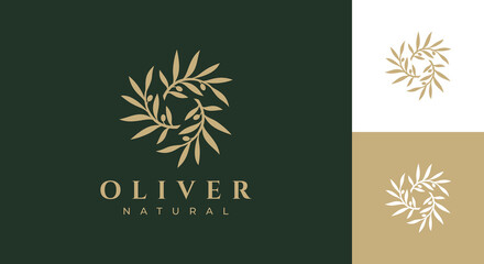 olive logo vector illustration, luxury olive branch logo template - obrazy, fototapety, plakaty