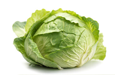 Cabbage isolated on white background