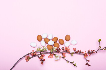 Eier und Zweige mit Frühlingsblüten vor  einem pinken Hintergrund