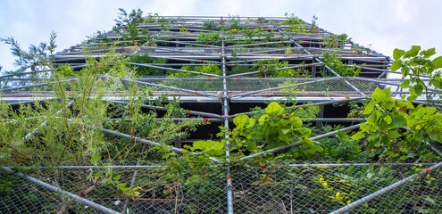 Vertical garden and living green walls design on buildings.