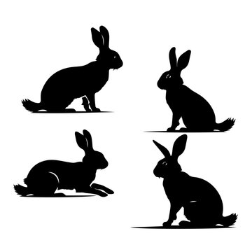Rabbits silhouette design vector