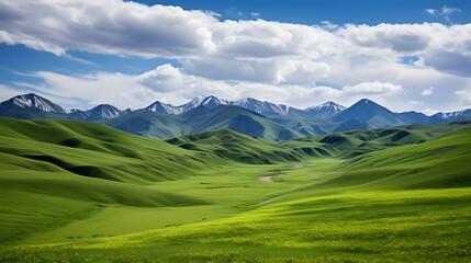 Fototapeta na wymiar The Splendid Serenity of Nature - Vibrant Grasslands Against Majestic Mountains and Blue Skies
