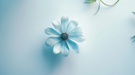 a blue flower sitting on top of a light blue surface next to a plant with a stem attached to it.
