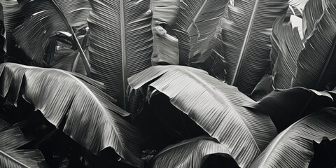 A collection of leaves in black and white. Suitable for various design projects