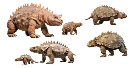 Collection of ankylosaurus isolated on a white background as transparent PNG