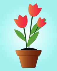 Tulips. Tulips growing in a pot. The stems have green leaves. Vector illustration EPS10.