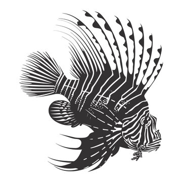 recommend clip art: Silhouette lionfish black color only full body 