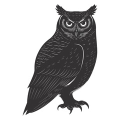 Fototapeta premium Silhouette owl animal black color only full body 