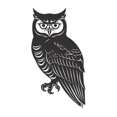 Fototapeta premium Silhouette owl animal black color only full body 