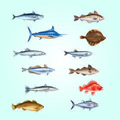 sea fish realistic transparent set with different species symbols isolated vector illustration