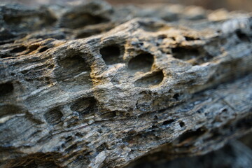 The natural texture of rock, stone, and earth. Background for the design.