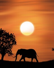 Fototapeta premium Elefant