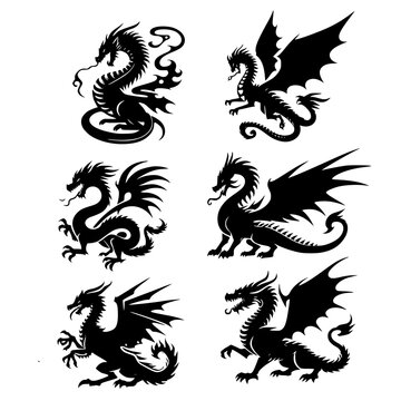black and white dragon for design