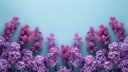 Lovely spring lilac flowers arranged with an empty purple envelope against a blue backdrop.