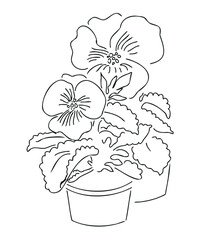Violet seedlings, vector one line sketch