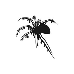 Silhouette spider