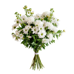 Fresh white chrysanthemums tied with a beige ribbon, perfect for gifts, decorations, and sympathy occasions