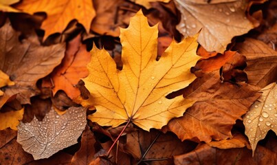 Colorful leaves are scattered around on the ground, large scale, top view, detailed texture. Autumn wallpaper.