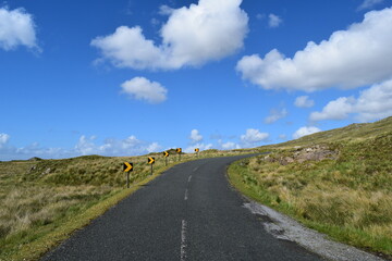 road in the countryside
