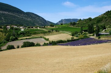 Rural landscape in the Baronnies in the South East of France, in Europe