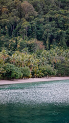 Rajska plaża Tajlandia niebieska błękitna woda palmy wyspa Koh Chang
 - obrazy, fototapety, plakaty