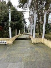 bridge in the park